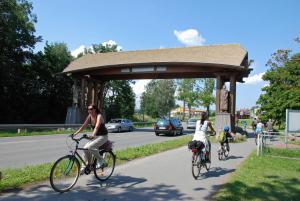 two women riding bikes down a road at Villa Waldblick in Baabe in Baabe