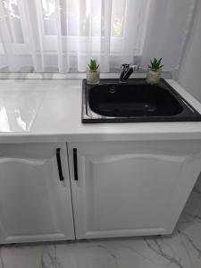 a kitchen sink with two plants on top of it at Casuța Râului in Zărneşti +45 photos