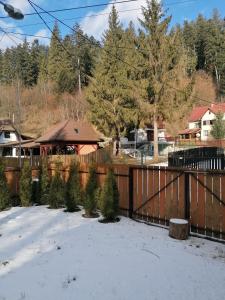 a fence with christmas trees in the snow at MATT'S House in Tuşnad +19 photos