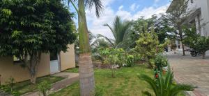 a palm tree in a yard next to a building at ANTARA STAY in Coimbatore