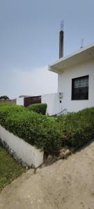 a white house with green bushes in front of it at La Buddha Villagers Homestay - Near Taj Mahal Agra in Agra