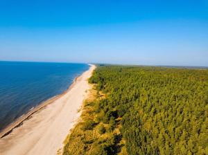 an aerial view of a beach and the ocean at Papės Perlas in Pape