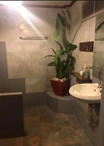 a bathroom with a sink and a potted plant at Thai Terrace Bungalow in Thong Nai Pan Yai