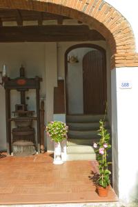 Podere San Lorenzo في تيرانووفا براتشولي: مدخل إلى منزل به اثنين من النباتات الفخارية