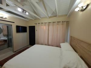a bedroom with a large white bed and a tv at De Windmolen in Centurion