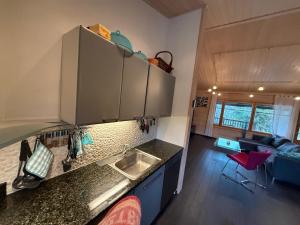 a kitchen with a sink and a living room at Villa Polly, Jaala, Luxury cottage with private sauna in Kouvola