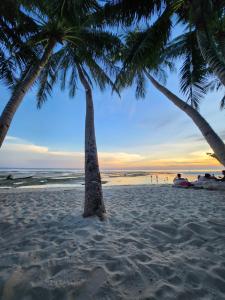 Eine Gruppe Palmen an einem Strand bei Sonnenuntergang in der Unterkunft Seashore Inn in Siquijor