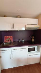 a kitchen with white cabinets and a sink and a microwave at Appartement du Port Neuf in Lanton