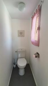a bathroom with a toilet and a pink window at Appartement du Port Neuf in Lanton +15 photos
