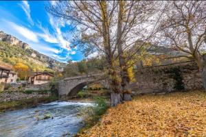 a stone bridge over a river with a tree at Ermita de la Tuda-Villaescusa de las Torres in Villaescusa de las Torres