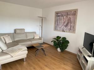 a living room with a couch and a tv at Ferienwohnung Rebenmeer in Neustadt an der Weinstraße