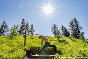 a person on a skateboard in a field with the sun at Pension Südhang in Bad Kleinkirchheim
