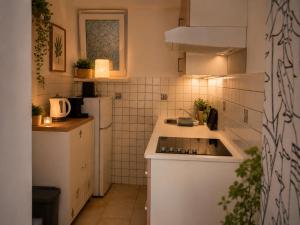 a small kitchen with a sink and a refrigerator at Nortra apartment in Tolmin +11 photos