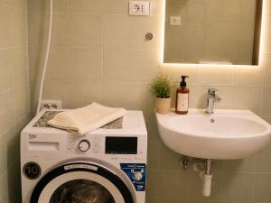 a bathroom with a washing machine and a sink at Nortra apartment in Tolmin