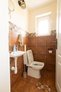a bathroom with a toilet and a sink at Anuskina kuca in Pakovrače +37 photos