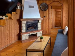 a living room with a fireplace and a couch at Willa Wielka Puszcza in Porąbka