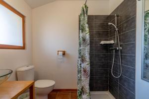 a bathroom with a shower and a toilet at Les Acacias in Colombiers +30 photos
