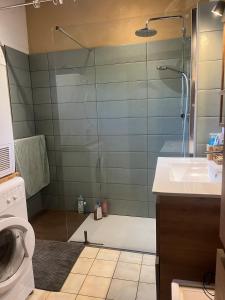 a bathroom with a shower with a sink and a toilet at Maison Périgourdine familiale in Saint-Jean-dʼEyraud +28 photos
