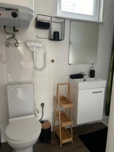 ein kleines Badezimmer mit Toilette und Waschbecken in der Unterkunft Koziula - Domki i Leśne SPA na Kaszubach in Przywidz + 82 Fotos
