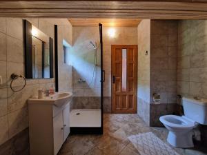 a bathroom with a toilet and a sink and a shower at Wild River Cottage in Lissa +25 photos