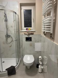 a bathroom with a shower and a toilet and a sink at Apartament przy kortach 3 in Bytom