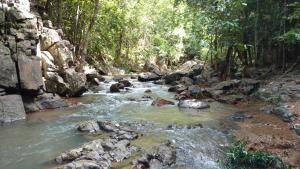 a stream in a forest with rocks and trees at Chestnut Hill Eco Resort Hat Yai in Hat Yai