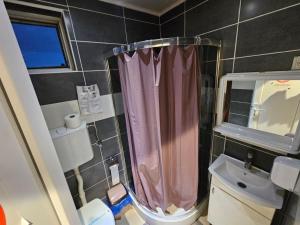 a bathroom with a pink shower curtain and a sink at Prenociste Simke 2 in Subotica +27 photos