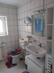 a bathroom with a sink and a toilet and a mirror at Ferienwohnung Benzmann in Süderbrarup +4 photos