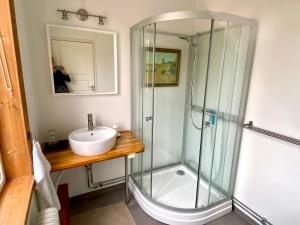 a bathroom with a glass shower and a sink at THE LODGE Torsby in Torsby
