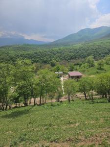 a view of a field with trees and a house at Villa Home in Ganja