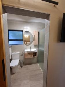 a bathroom with a toilet and a sink and a mirror at De Windmolen in Centurion +10 photos