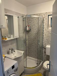 a bathroom with a shower and a sink and a toilet at Rural Apartment Ante in Drniš