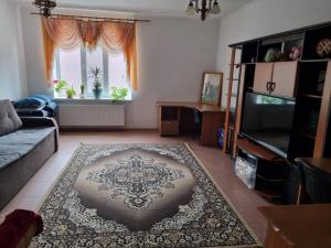 a living room with a rug on the floor at Casa Regina Pacis in Vărvăreuca