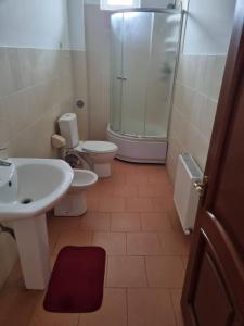 a bathroom with a sink and a toilet and a shower at Casa Regina Pacis in Vărvăreuca +15 photos