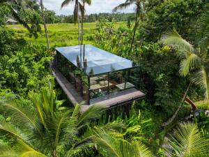 a glass house in the middle of the forest at K Club Ubud in Ubud