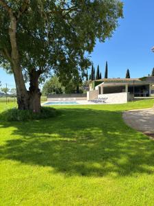 a tree in a grass field with a building at Casa Rural Mas Homs in Parets de Dalt +69 photos
