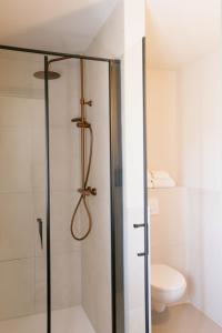 ein Badezimmer mit Dusche und Toilette in der Unterkunft Blanckthys Hotel Voeren in Voeren + 29 Fotos