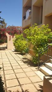a stone walkway in front of a building with bushes at Moresco Resort in Lampedusa