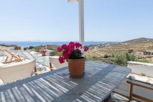 a potted plant sitting on a table on a balcony at Αστραία - με θέα στο Αιγαίο in Agios Ioannis