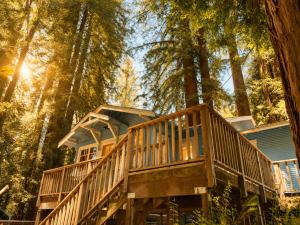 a tree house in the middle of the forest at Boho Burrow in Monte Rio