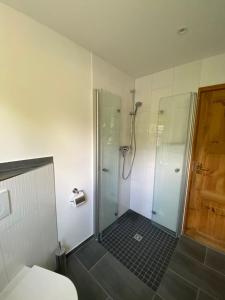 a bathroom with a shower with a glass door at Extertal-Ferienpark - Sonnenhügel in Extertal +29 photos
