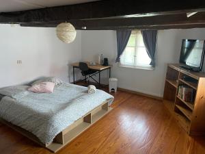 a bedroom with a bed and a tv and a desk at Chambre Double à 8min de Strasbourg in Vendenheim