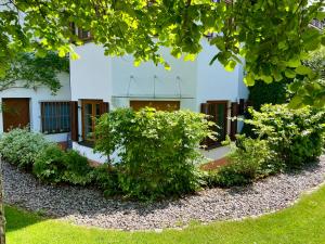a building with windows and bushes in front of it at Appartement Zirbe in Rickenbach