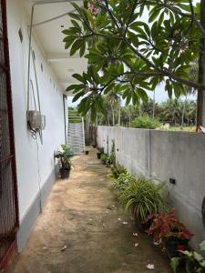 an empty hallway of a building with plants at Ocean Heart Guest House in Nilaveli