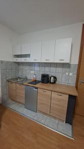a kitchen with a counter with a sink and a refrigerator at Una Vibe Studio in Bosanska Krupa