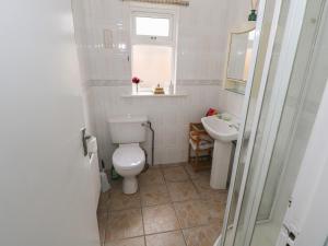 a small bathroom with a toilet and a sink at Sweetbriar Lodge in Castlerea +12 photos