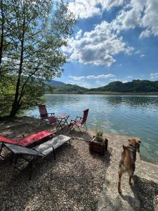 a dog standing next to chairs and a lake at Zmajeva Kuca in Mali Zvornik