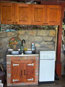 a kitchen with a sink and a stove at Zmajeva Kuca in Mali Zvornik