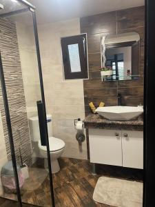 a bathroom with a toilet and a sink and a mirror at Villa Elias in Zlatograd +68 photos