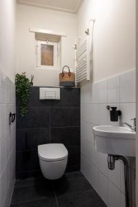 a bathroom with a white toilet and a sink at De Bosberg Villa in Appelscha +8 photos